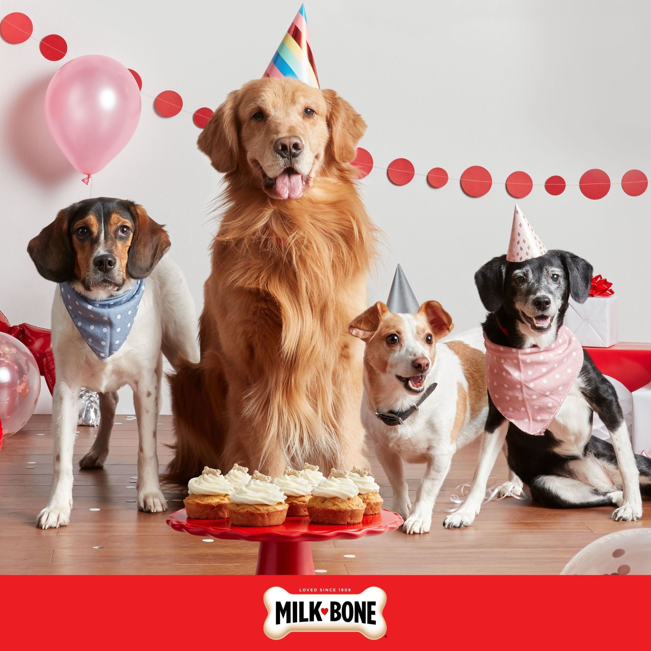 (4 pack) Milk Bone Extra Large Dipped CELEBRATE! Dog Biscuit, 2.9 oz Pouch