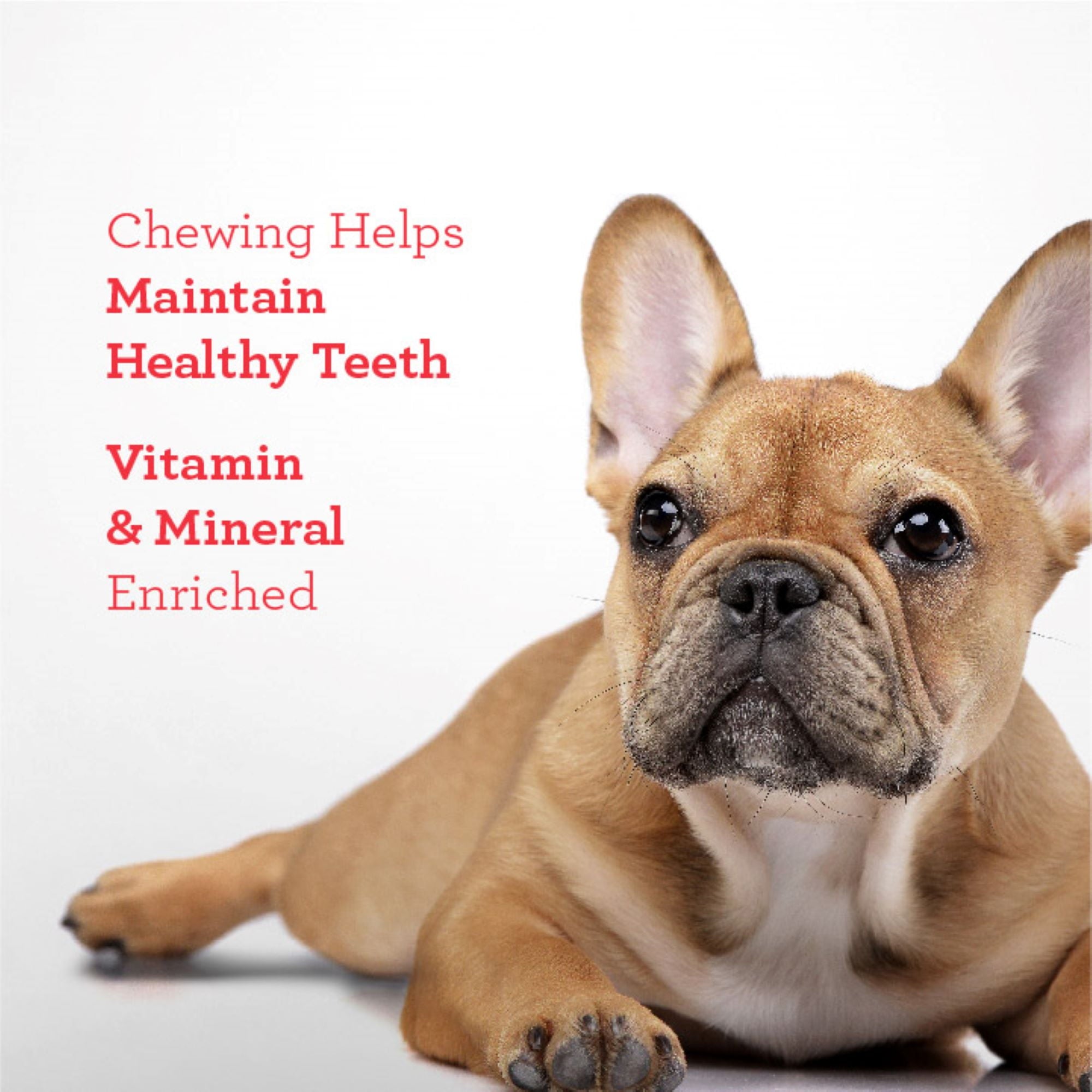 DreamBone Triple Flavor Ribs Rawhide-Free Chews for Dogs, Made with Real Peanut Butter, 10 Count