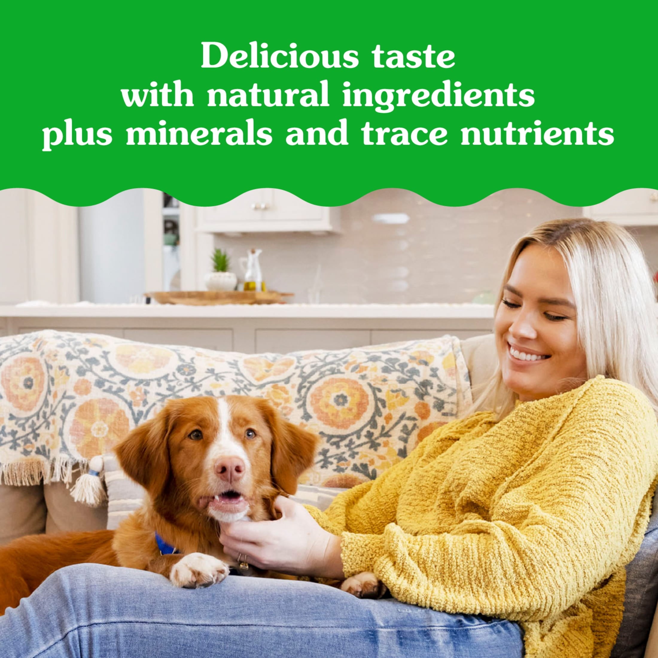Greenies Pill Pockets For Dogs Chicken Flavor Large, Capsule Size Soft Dog Treats, 7.9 Oz, (30 Pk)
