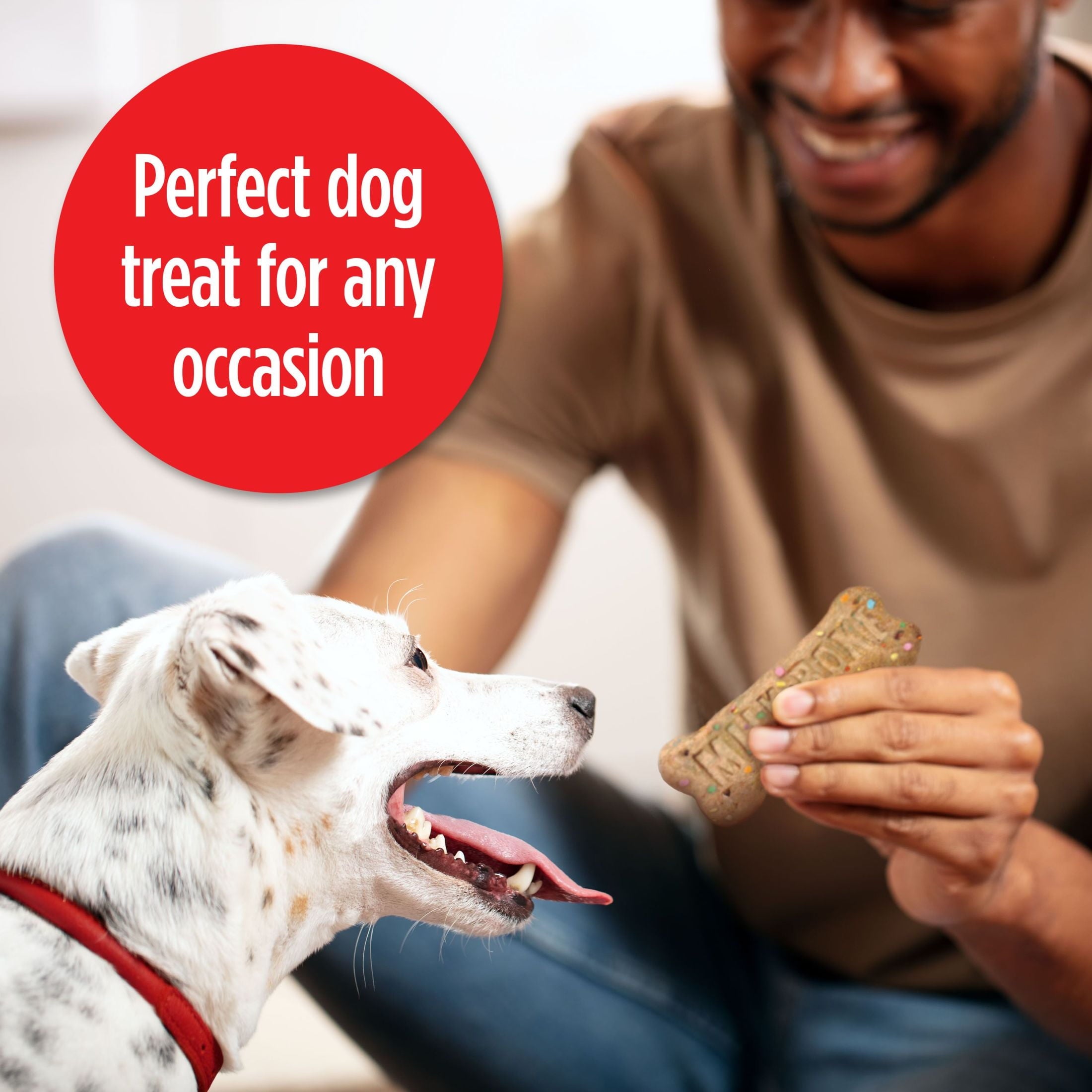 (4 pack) Milk Bone Extra Large Dipped CELEBRATE! Dog Biscuit, 2.9 oz Pouch