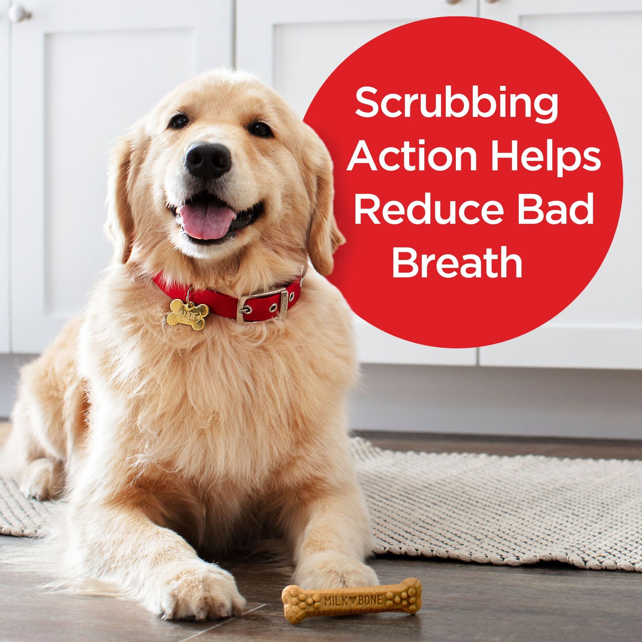 Milk Bone Brushing Chews Daily Dental Dog Treats, Large, 24.2 oz Bag, 18 Bones Per Bag