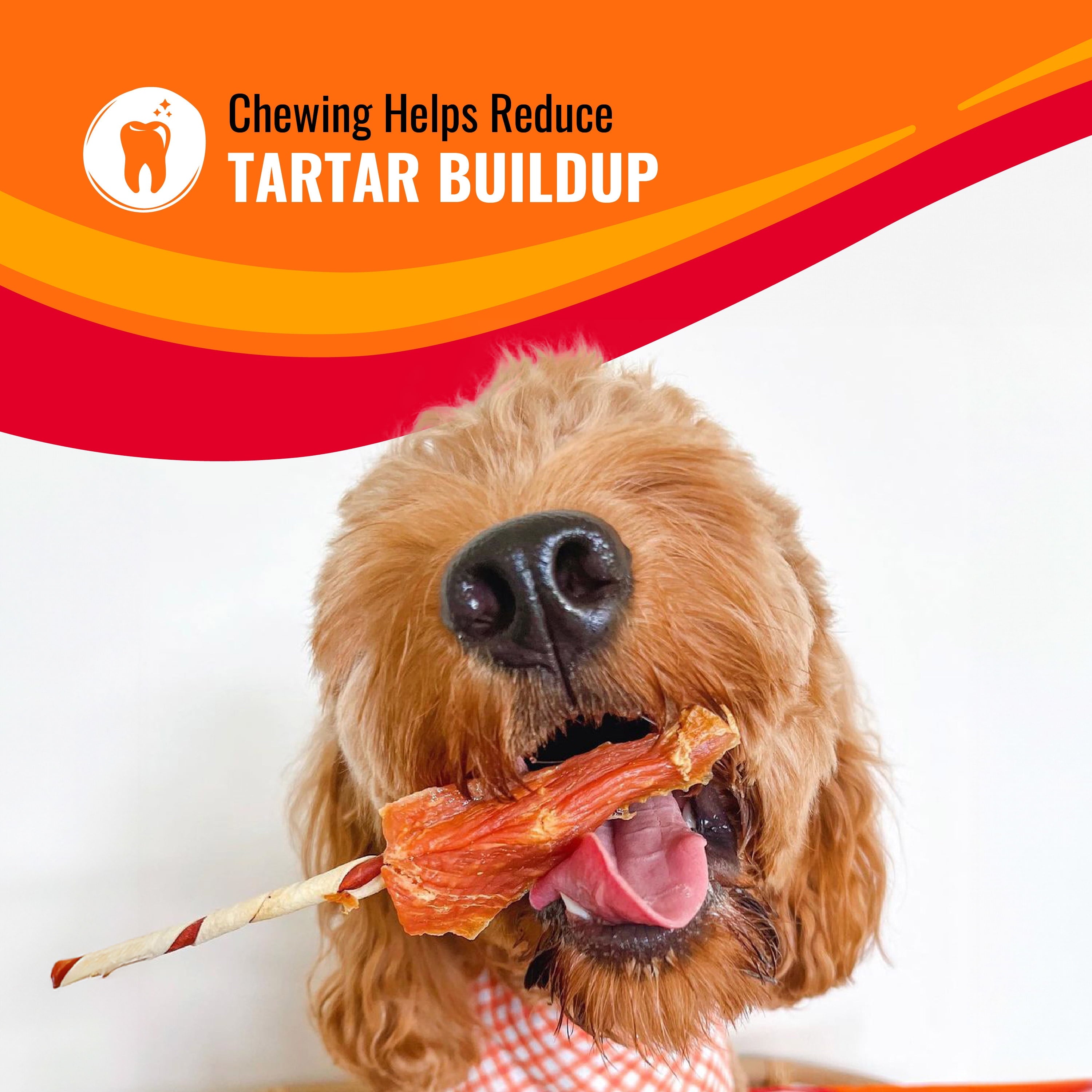 Good ‘n’ Fun Triple Flavor Colossal Kabobs, Rawhide Chews for Extra Large Dogs (+120 lbs), 3 Count