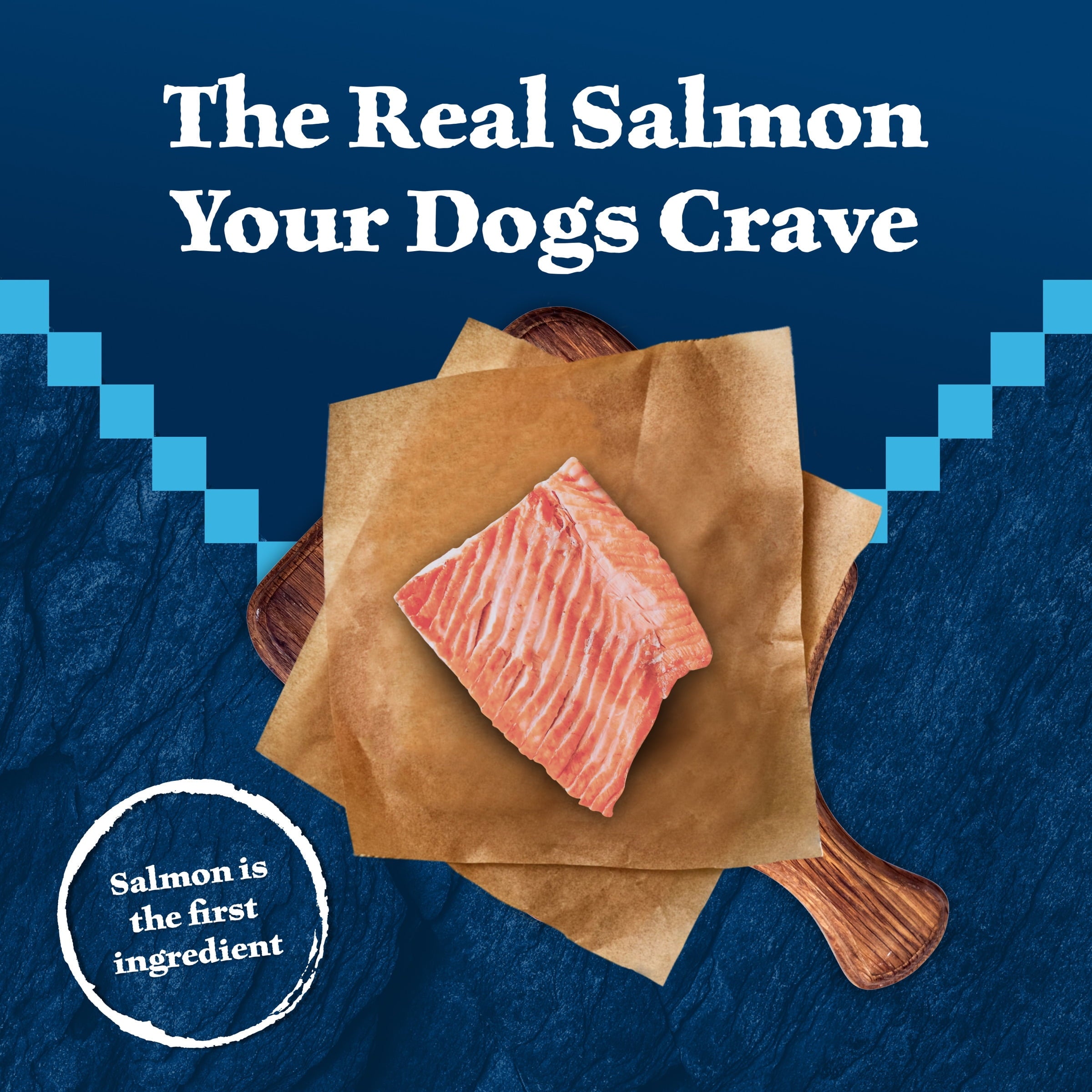 Blue Buffalo Wilderness Trail Treats Dog Biscuits Crunchy Dog Treats, Salmon, 10-oz Bag