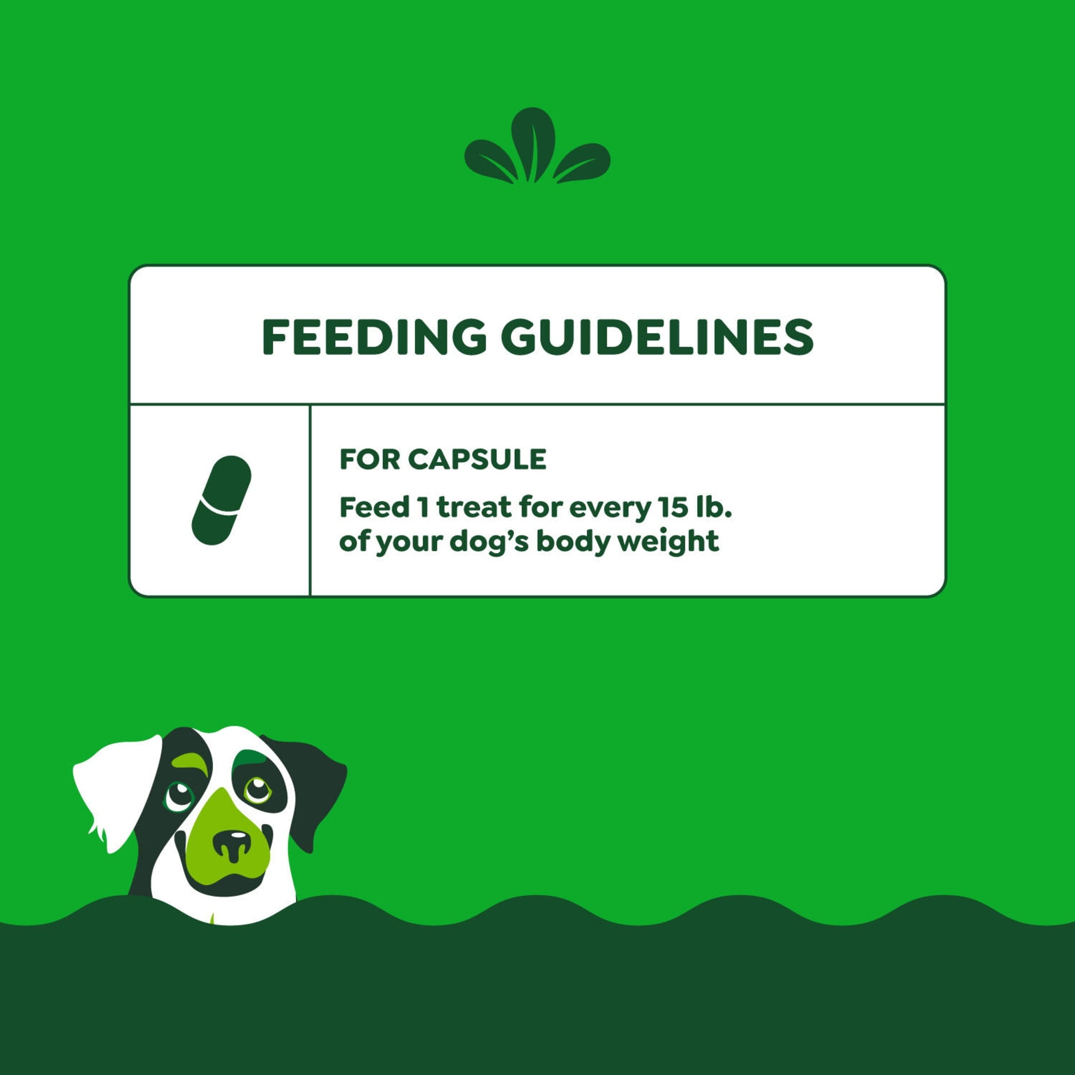 Greenies Pill Pockets For Dogs Chicken Flavor Large, Capsule Size Soft Dog Treats, 7.9 Oz, (30 Pk)