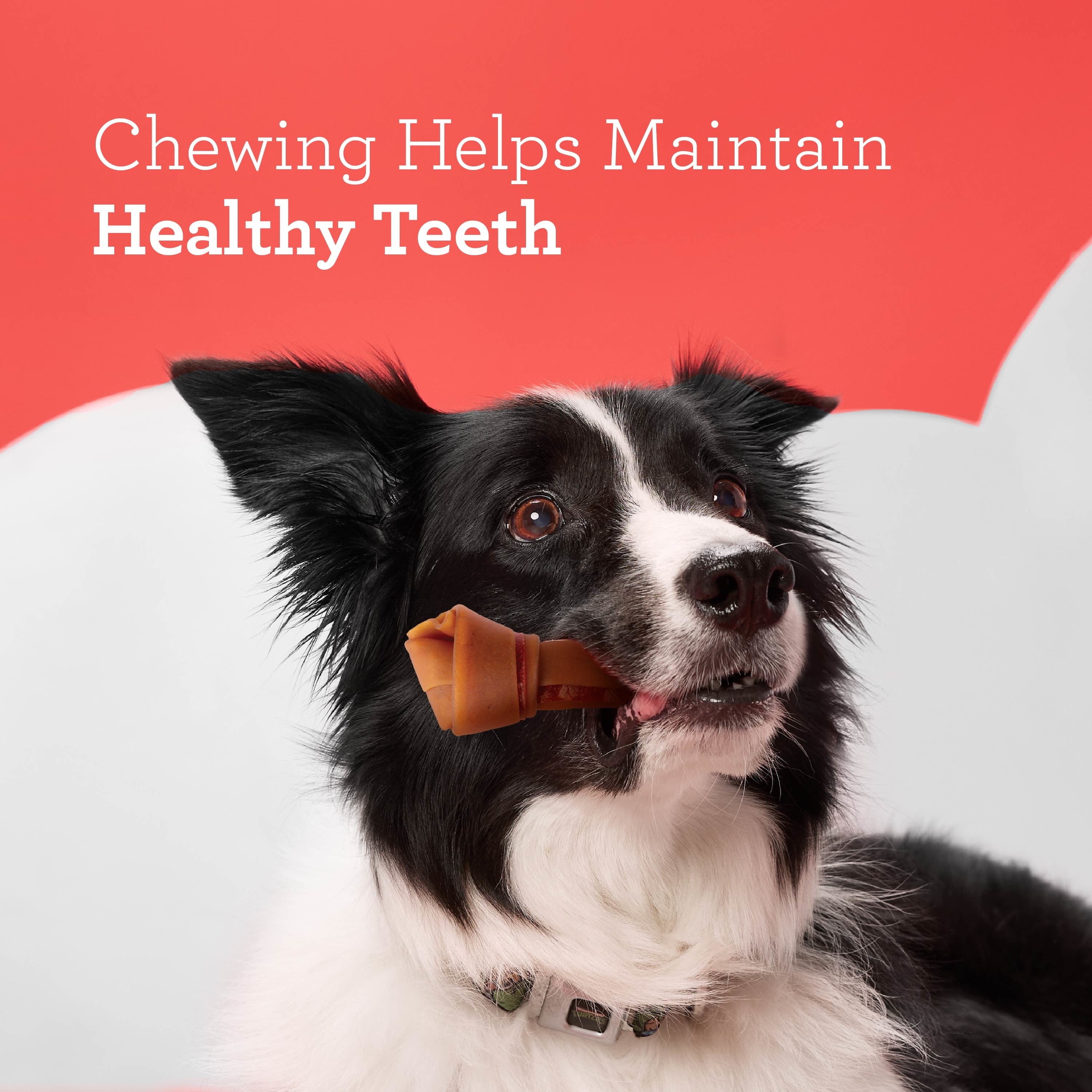 DreamBone Peanut Butter Flavored Rawhide-Free Dog Chews, Large, 12 Oz. (3 Count)