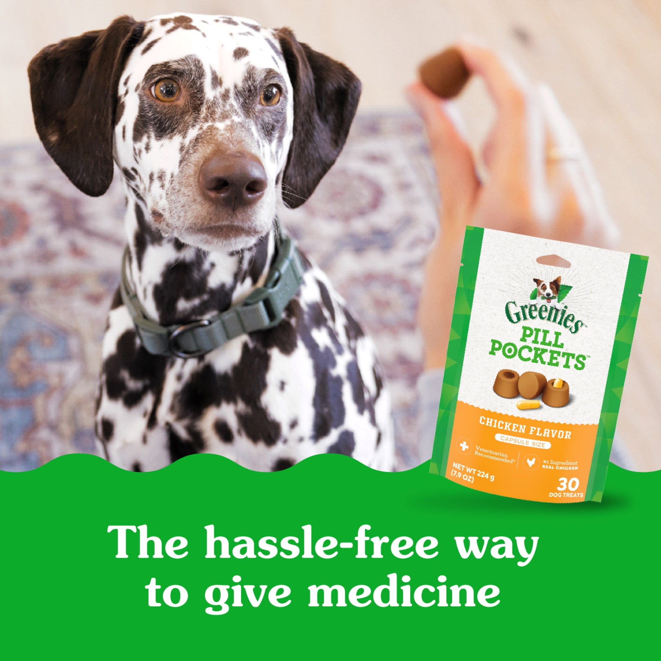 Greenies Pill Pockets For Dogs Chicken Flavor Large, Capsule Size Soft Dog Treats, 7.9 Oz, (30 Pk)
